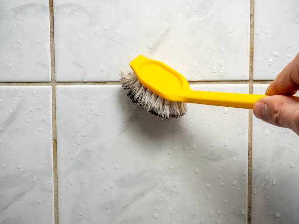 Best Mold Removal Near Me  in Grant Park, IL