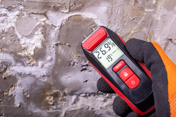Best Toxic Mold Removal  in Grant Park, IL