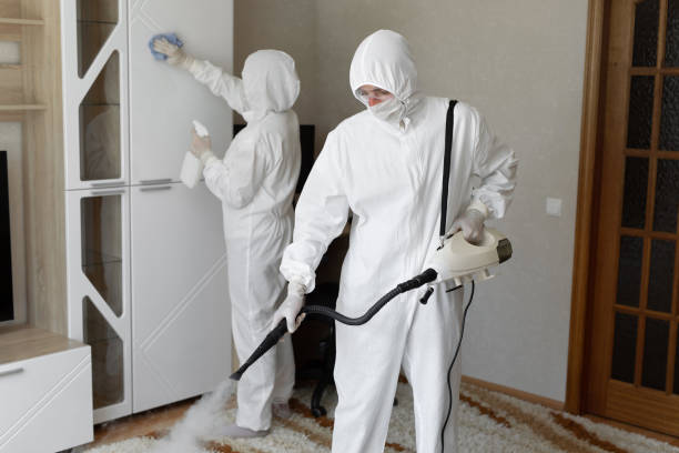 Best Mold Damage Repair  in Grant Park, IL