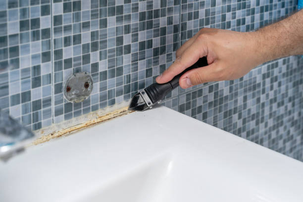 Best Home Mold Removal  in Grant Park, IL