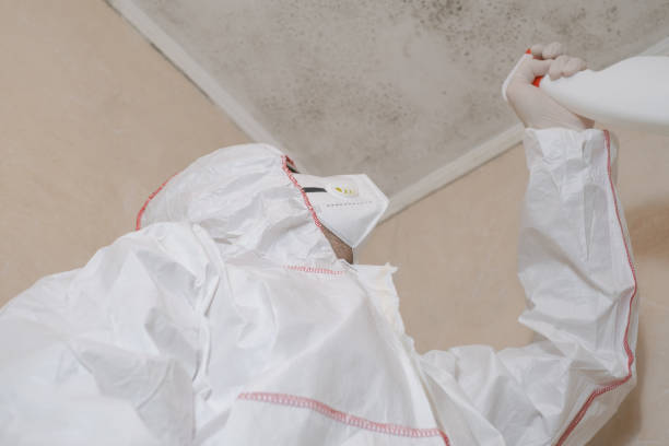 Best Mold Cleaning Services  in Grant Park, IL
